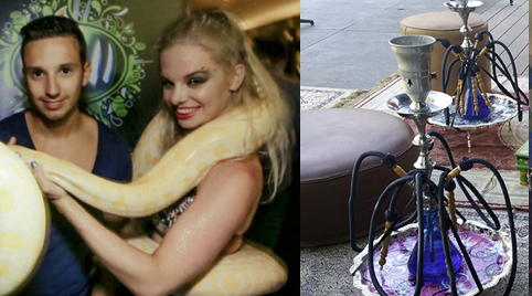 Slangendans voor Nachtclub