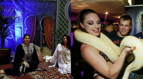 Slangenshow voor een Club