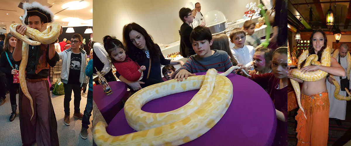Slangendans voor Themafeesten
