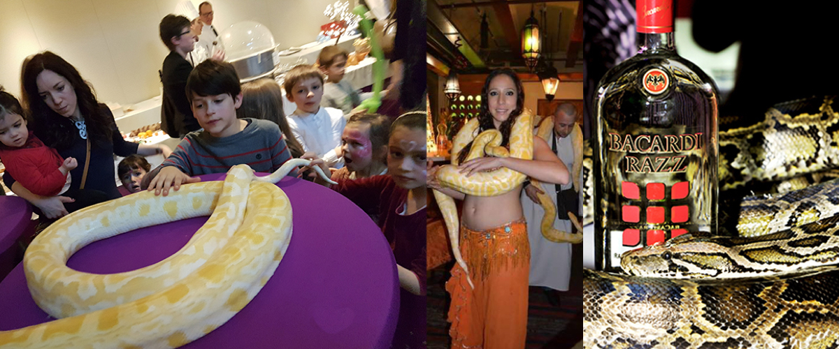 Mannelijke slangenbezweerder