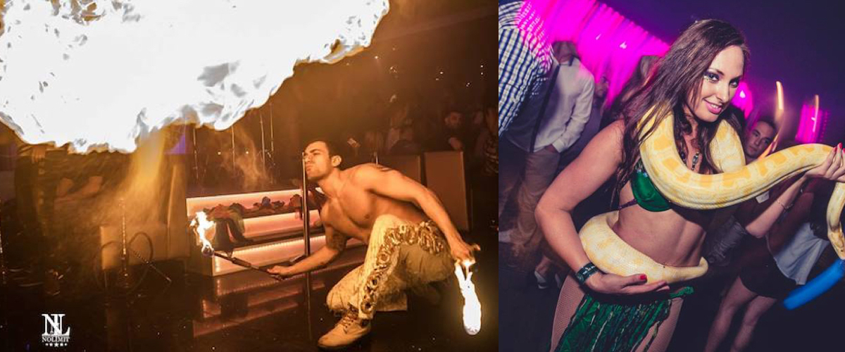 Shows in een Nachtclub