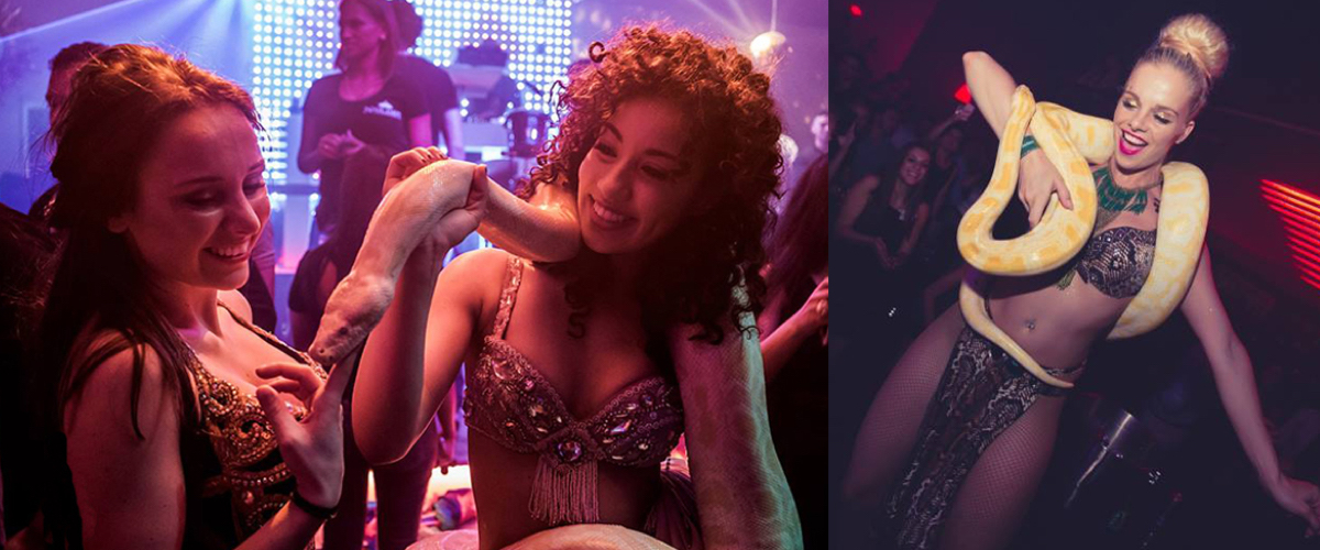 Slangendans en een waterpijpenterras