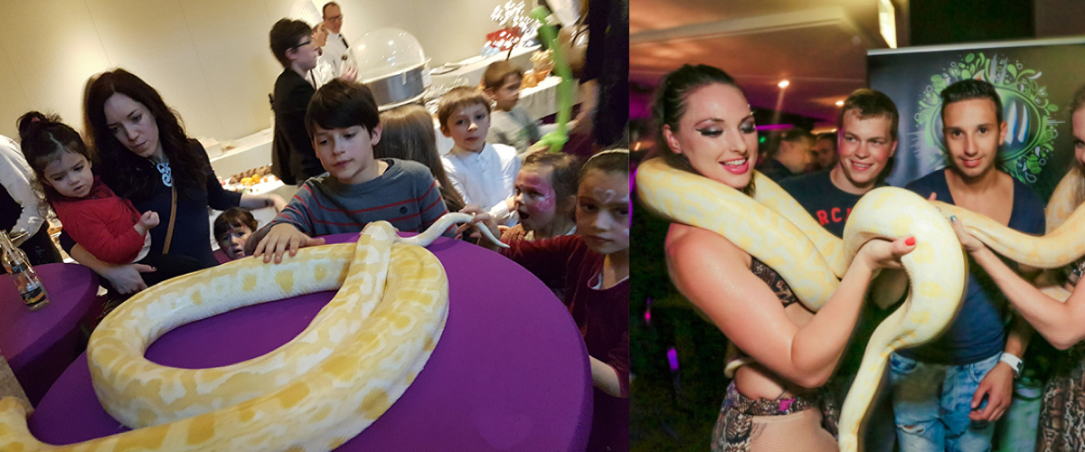 Slangendans voor Jungle Party